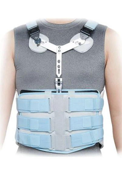 Опора грудного відділу хребта